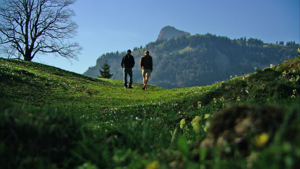 Still 2 Spaziergang im Grünen
